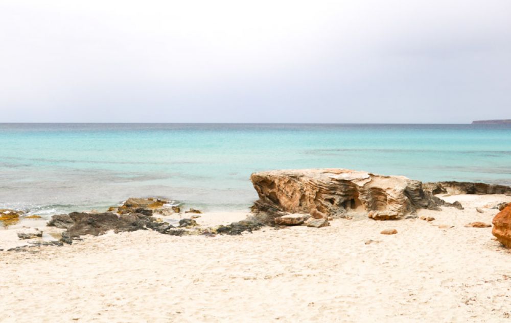 que faire à Ibiza