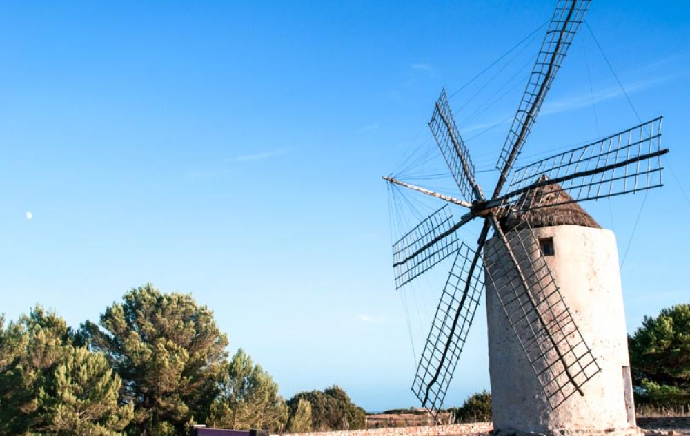 que faire à Ibiza