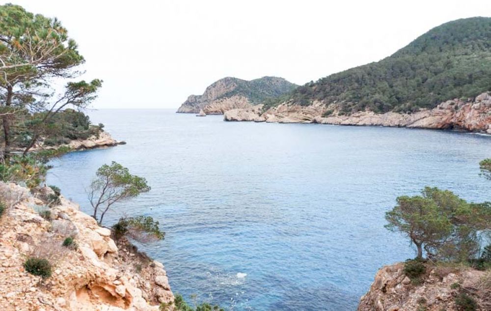 que faire à Ibiza 