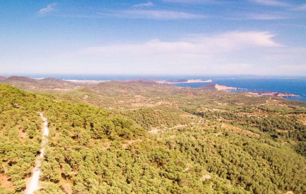 que faire à Ibiza