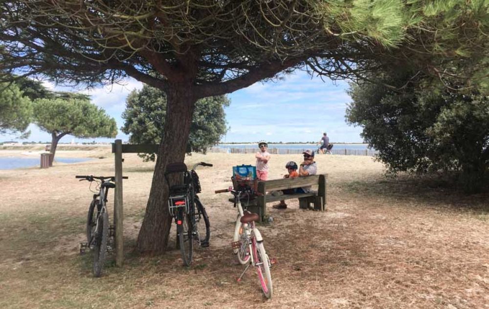 Que voir île de Ré