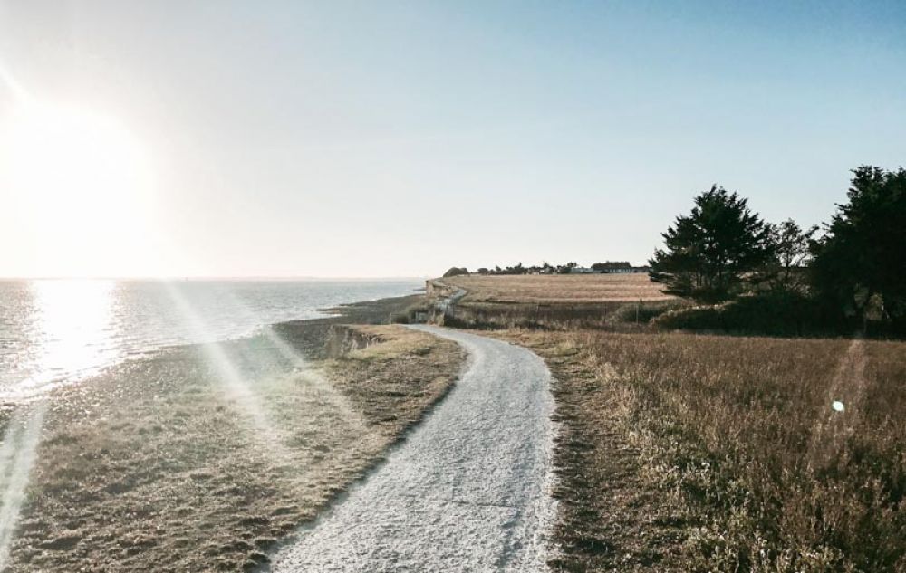 que faire île de Ré