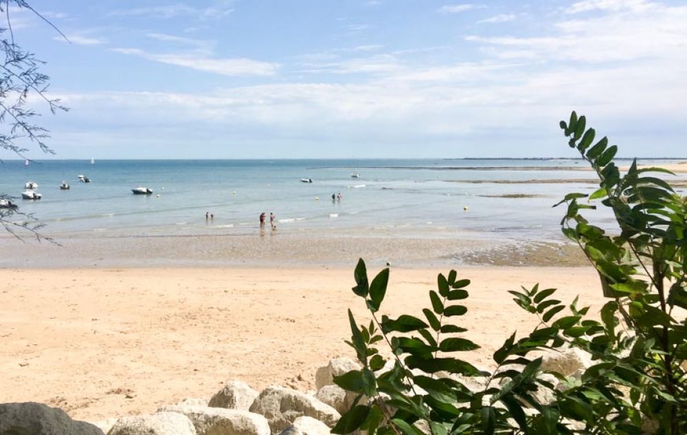 que faire île de ré : plage