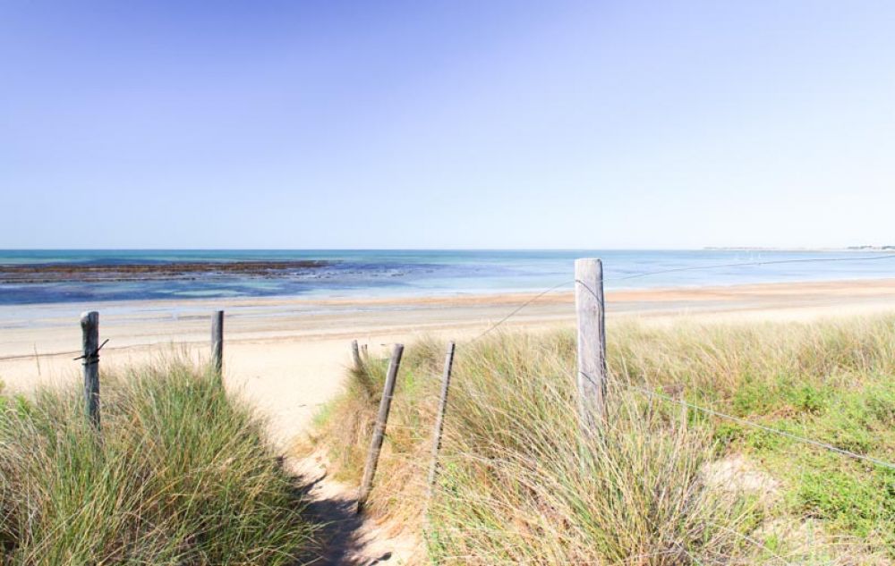 que faire île de Ré