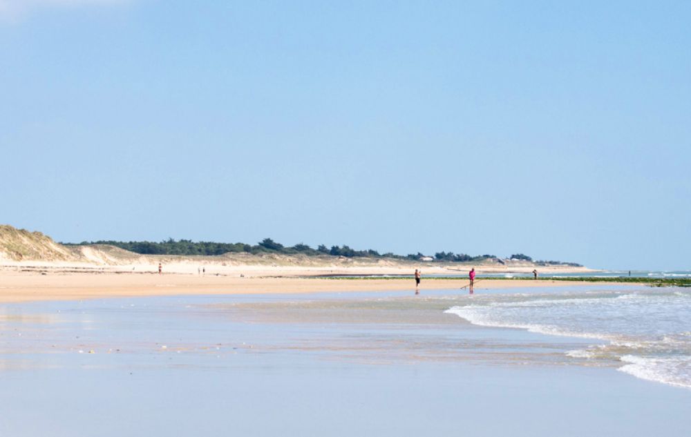 que faire île de Ré