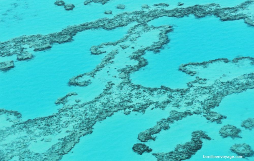 road-trip-australie-enfants-barrière-corail