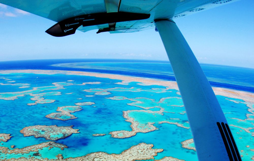 road-trip-australie-enfant-barrière-corail