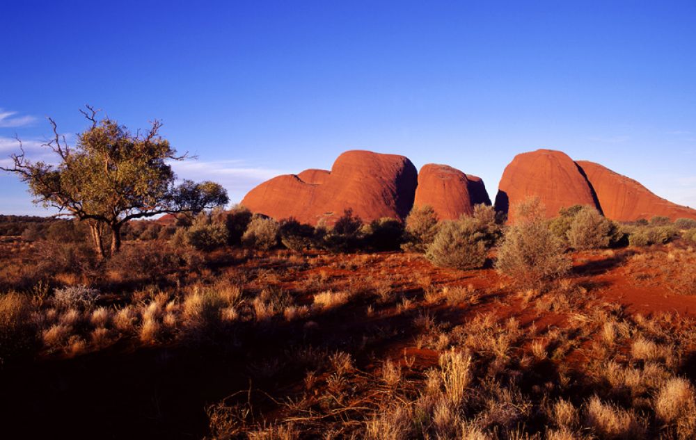 road-trip-enfants-australie