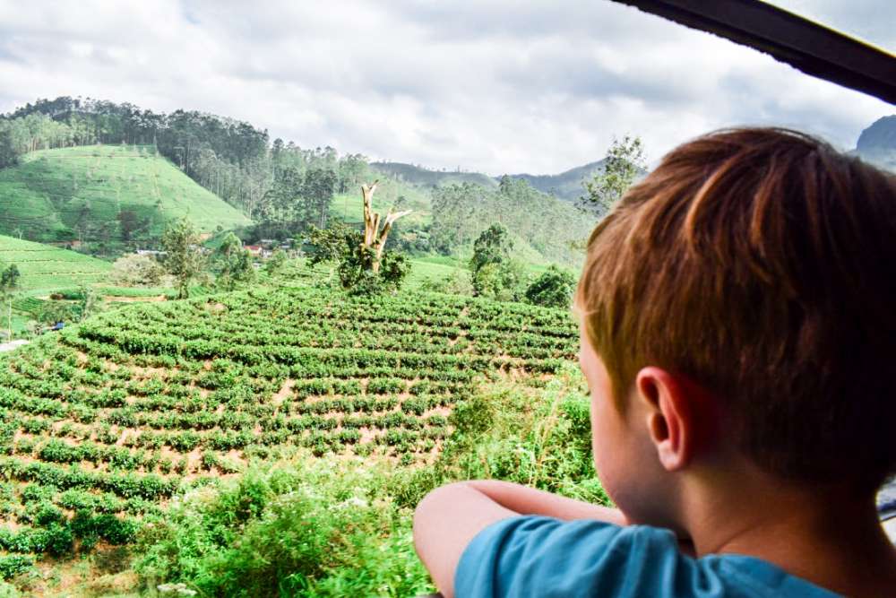 voyage au sri lanka : safari, train et plages de rêve