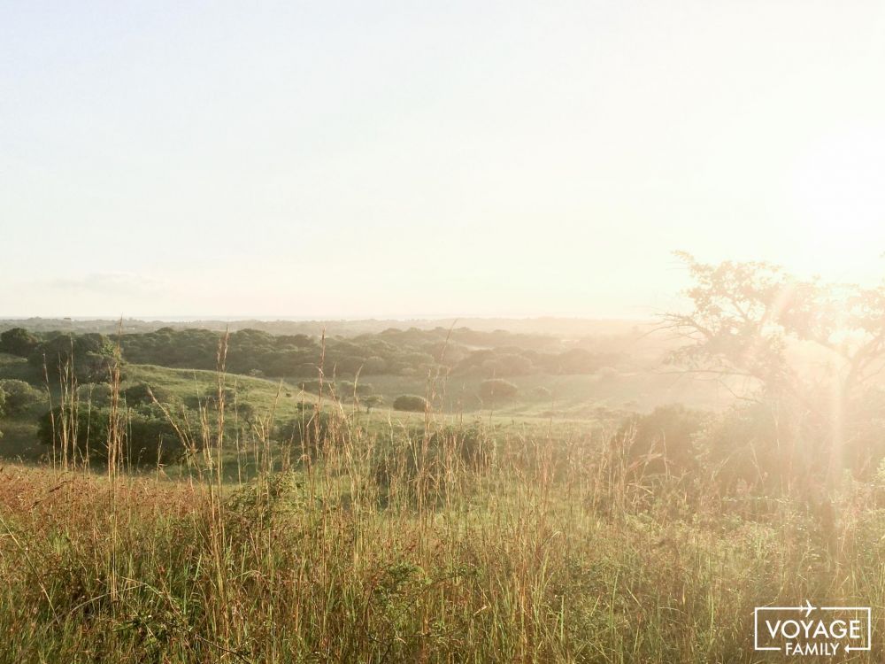 safari en famille swaziland