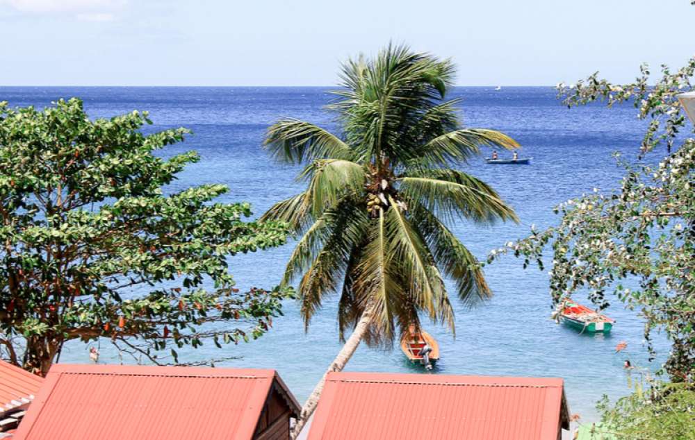 Voyage Martinique, Partir en vacances en Martinique