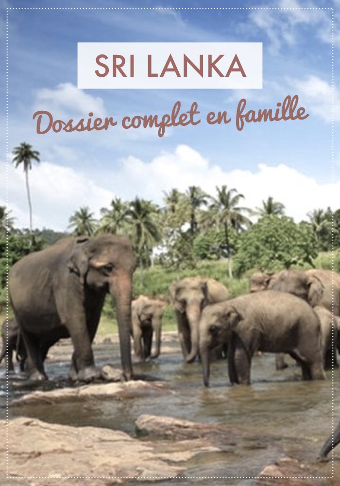 voyage sri lanka en famille