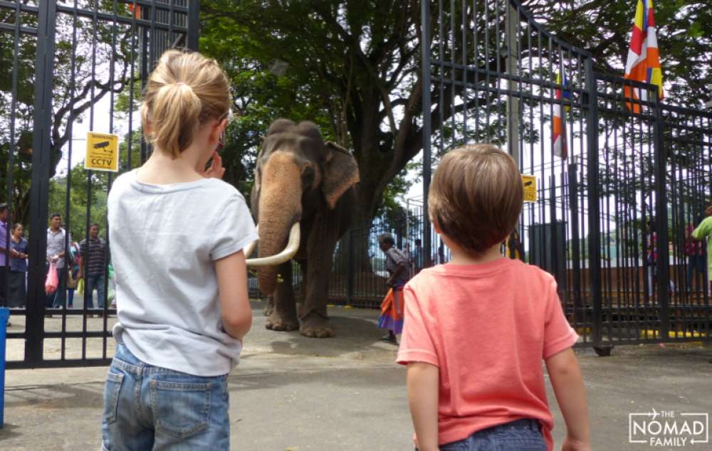 kandy enfant famille sri lanka