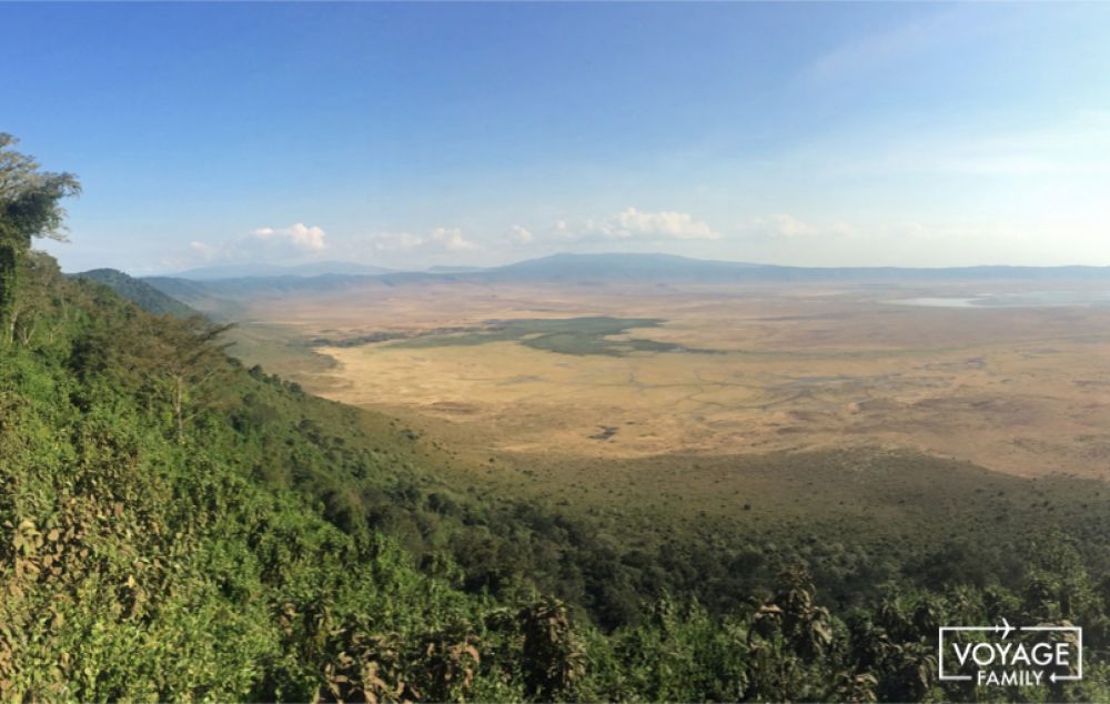 tanzanie en famille safari