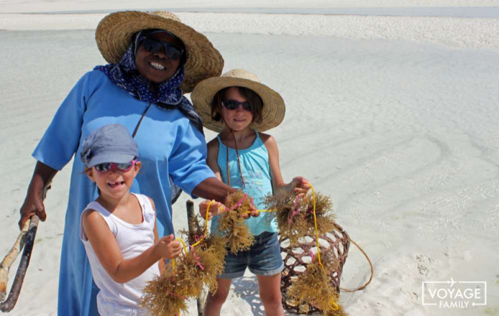 sea weed center paje zanzibar tanzanie