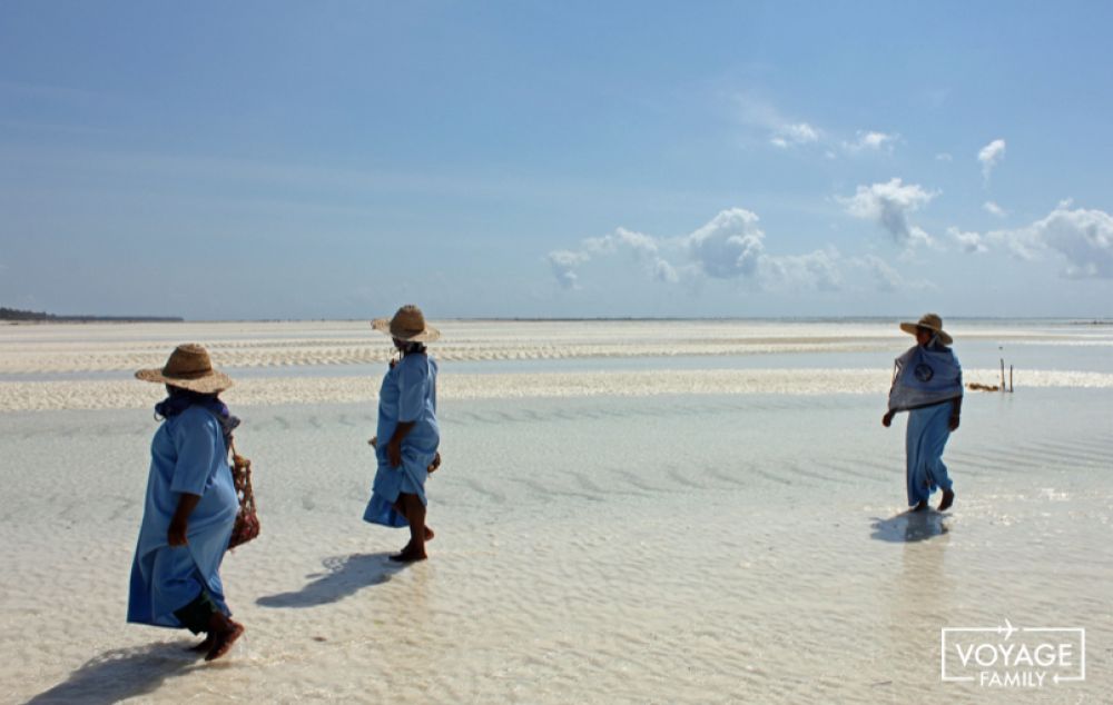 femmes cueilleuses algue plage zanzibar tanzanie