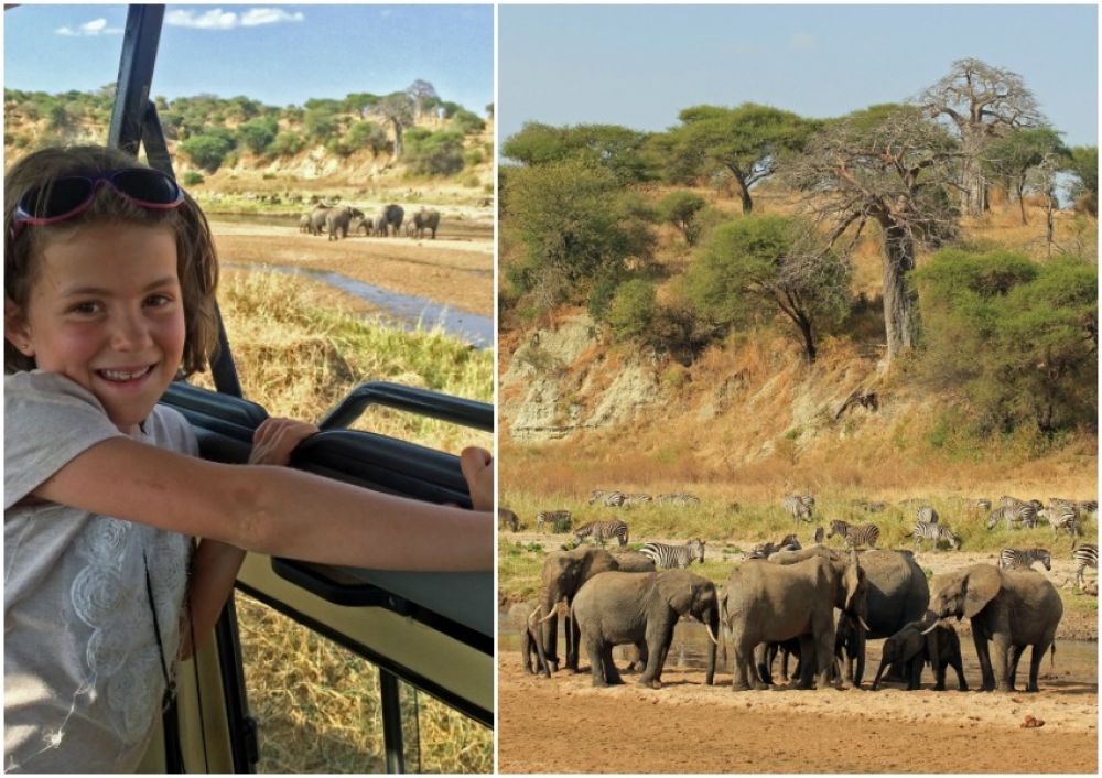 safari tanzanie en famille