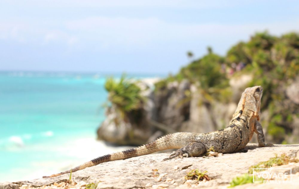 tulum mexique