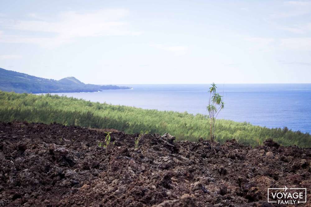 route des laves à la Réunion