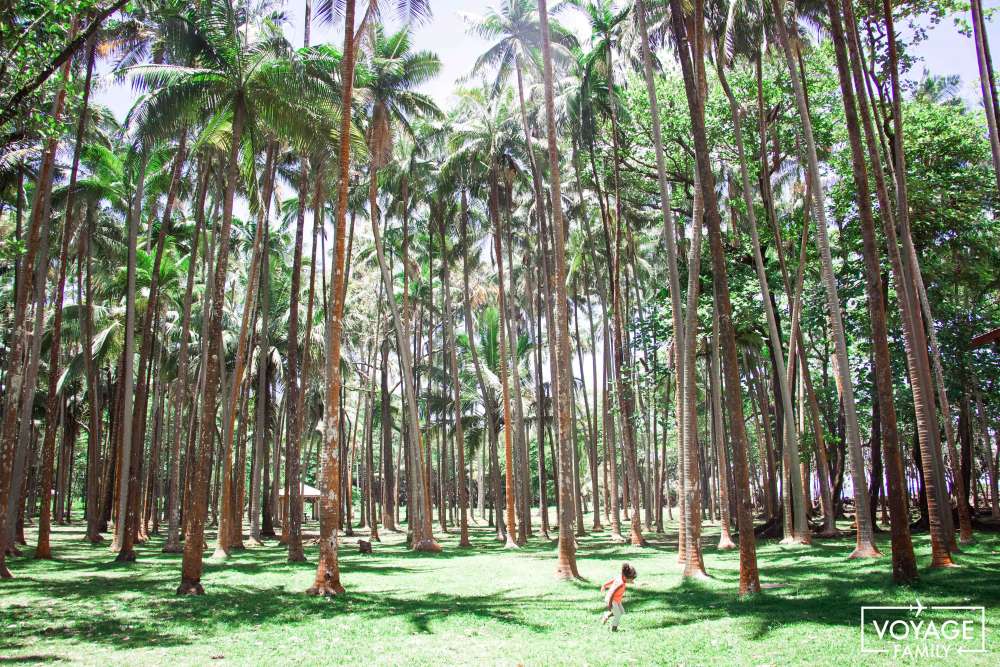 vacances à la Réunion