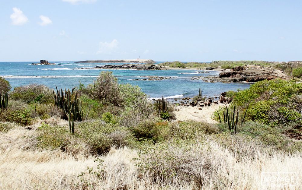 paysage nord martinique circuit