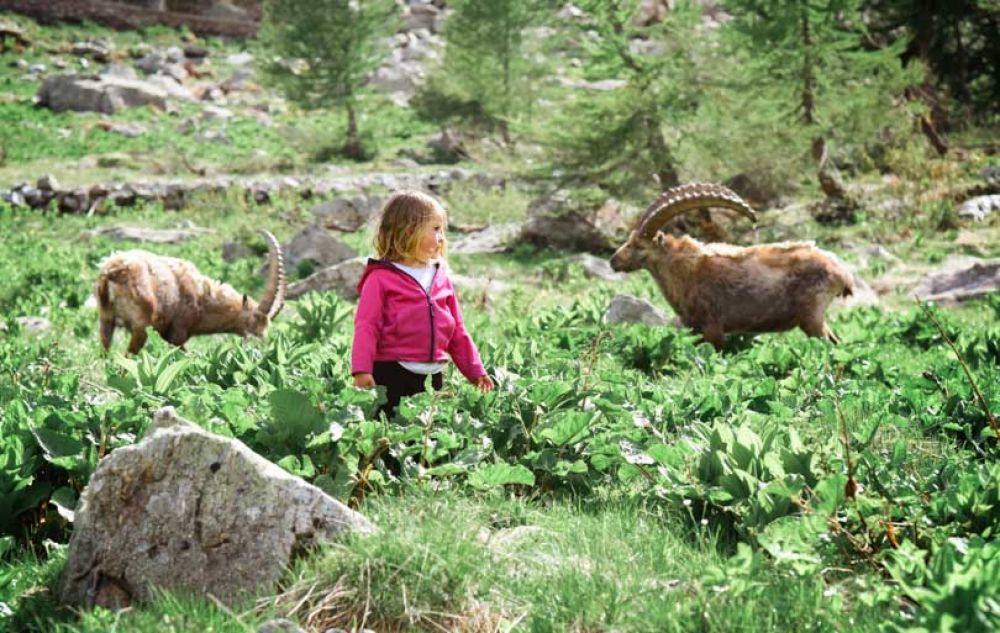 Un papa et sa fille de 18 mois au Pays des Loups