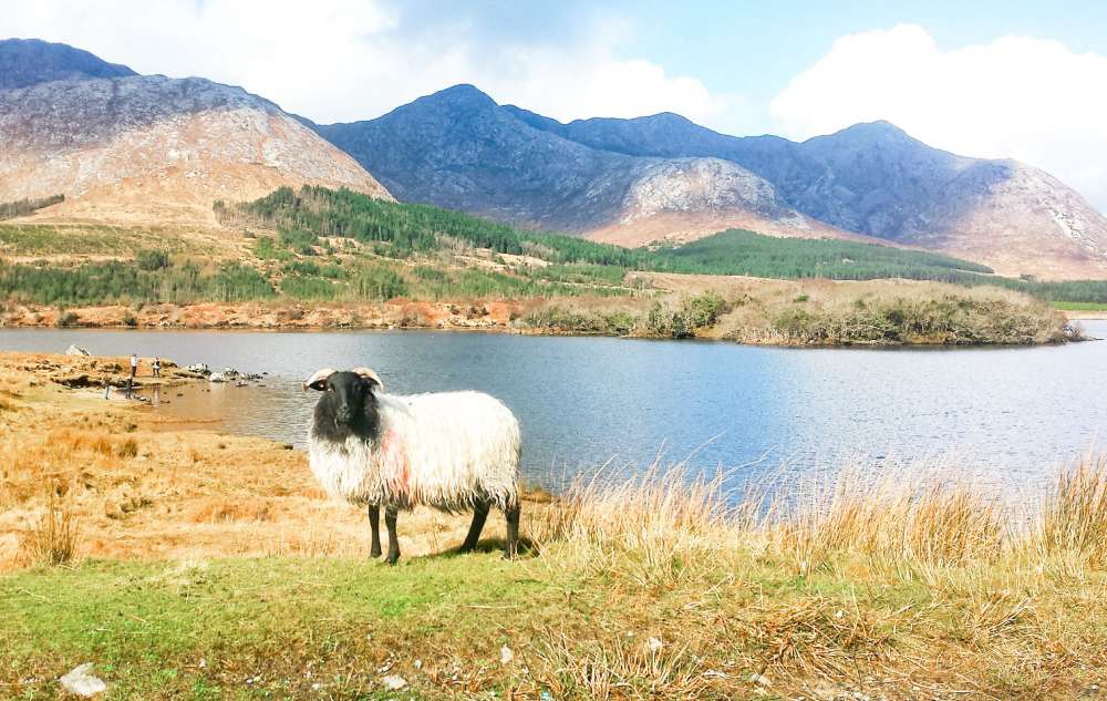 Découvrir les lacs du connemara irlande sur ce blog voyage