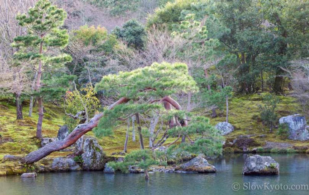 visiter Kyoto