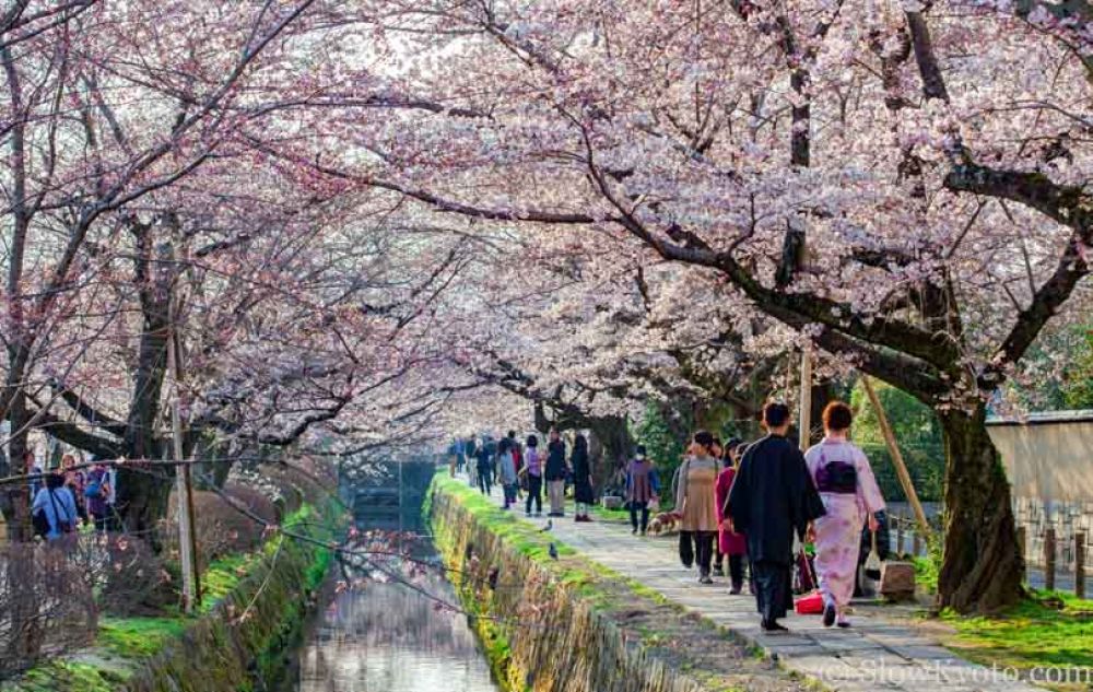 visiter Kyoto