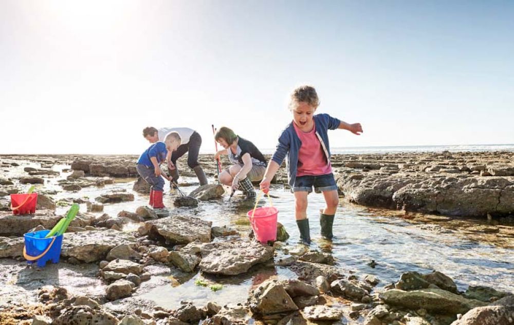 visiter la vendée 