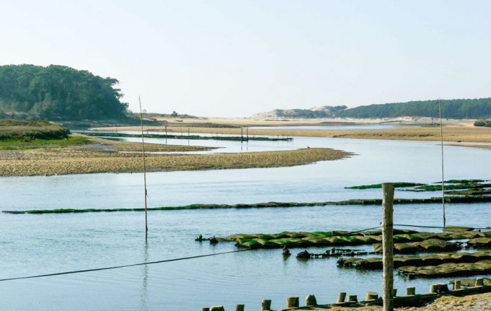 visiter la Vendée 