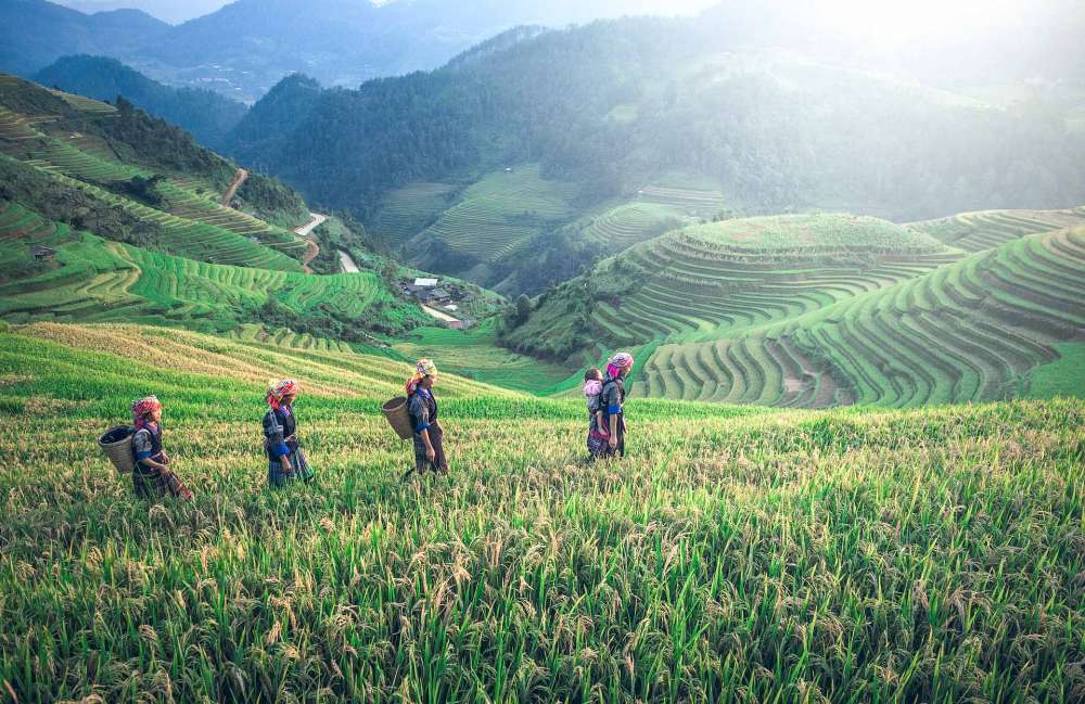 Bali