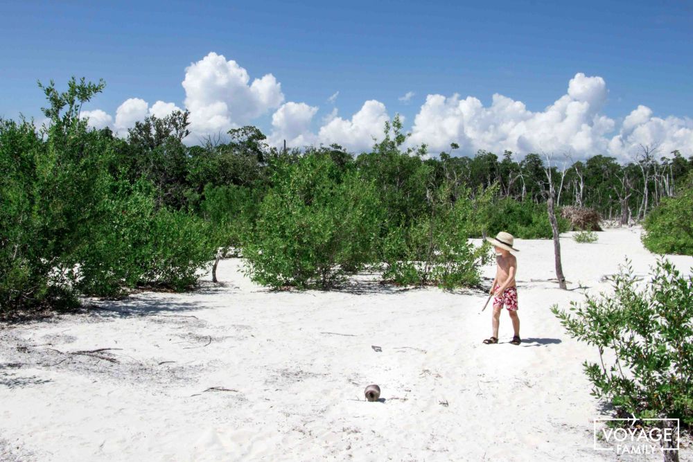 plage cuba cayo levisa en famille