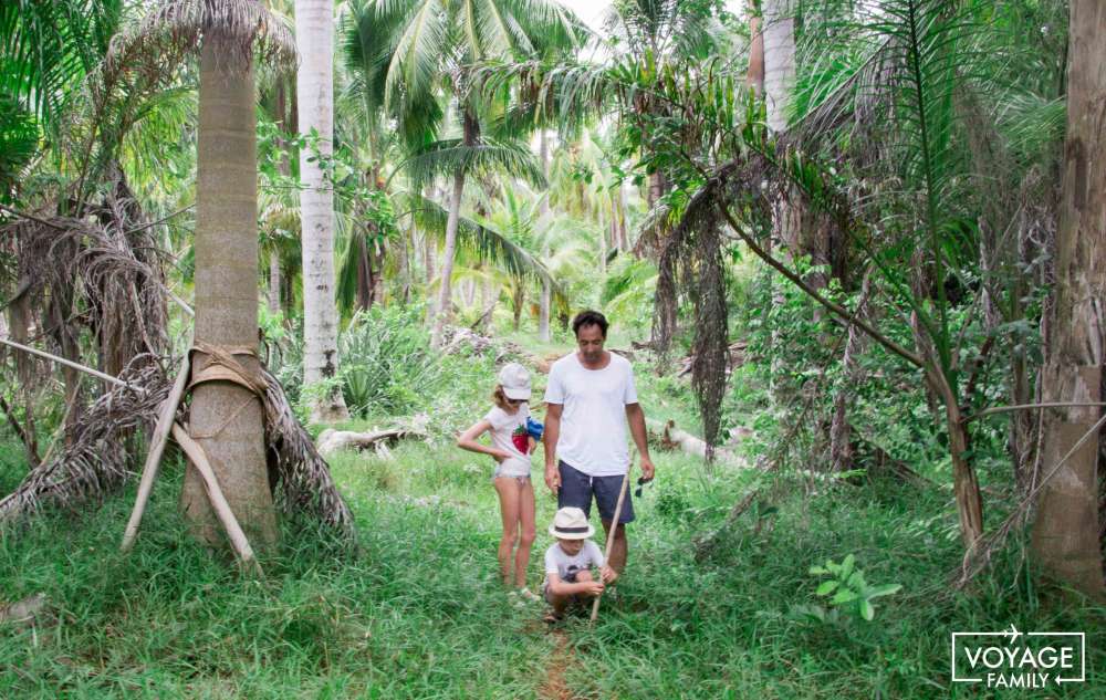 jungle et nature à cuba en famille avec enfants