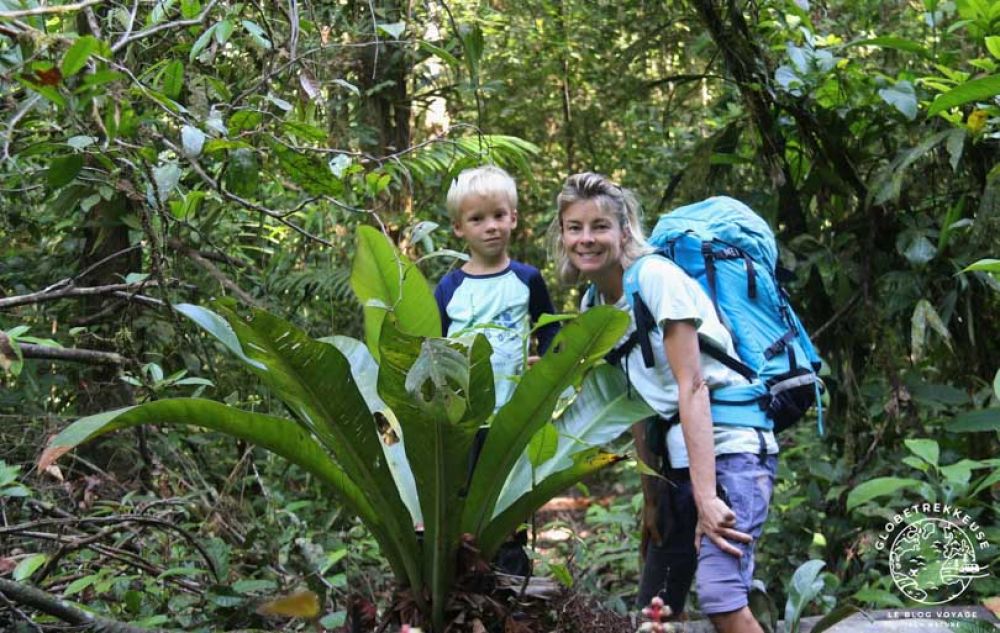 voyage en Guyane