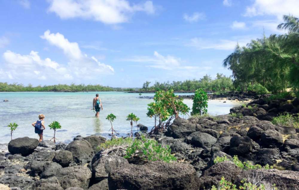 Quels souvenirs ramener de la Réunion et de l'île Maurice