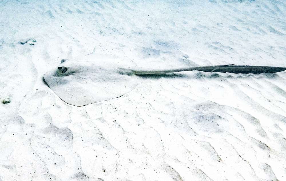 plage des îles perhentians en Malaisie en famille