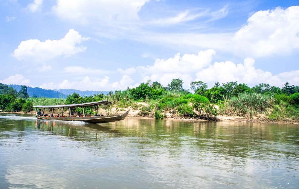 Taman Negara dans la jungle en Malaisie en famille