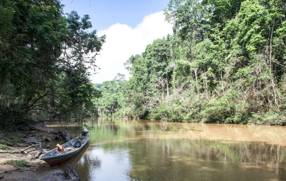 jungle Taman negara en Malaisie en famille