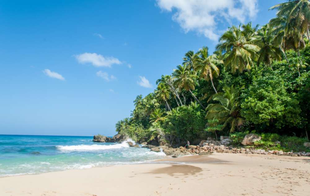 Voyage République dominicaine, Partir en vacances en République dominicaine