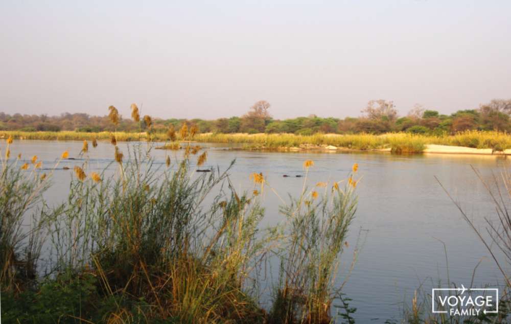 bivouac voyage safari botswana en famille