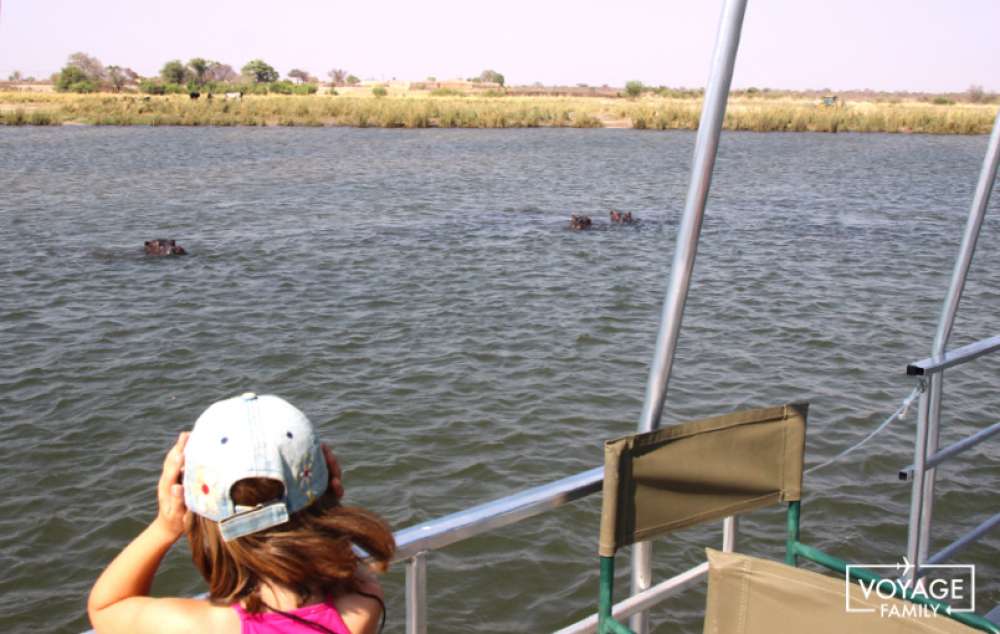 croisiere okavango safari au botswana en famille