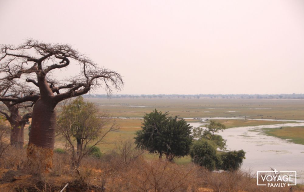 parc chobe safari en botswana en famille