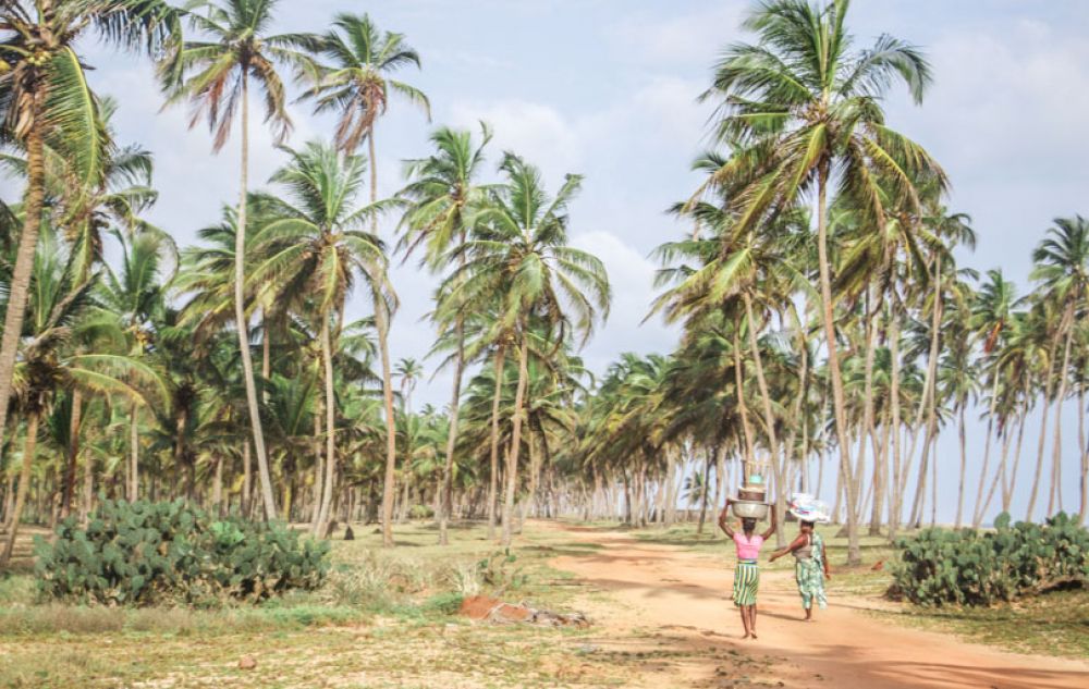 voyage solidaire bénin