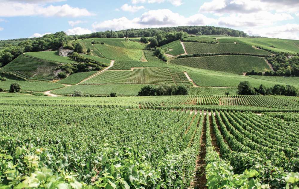 Week-end en Champagne : une idée (pétillante) !