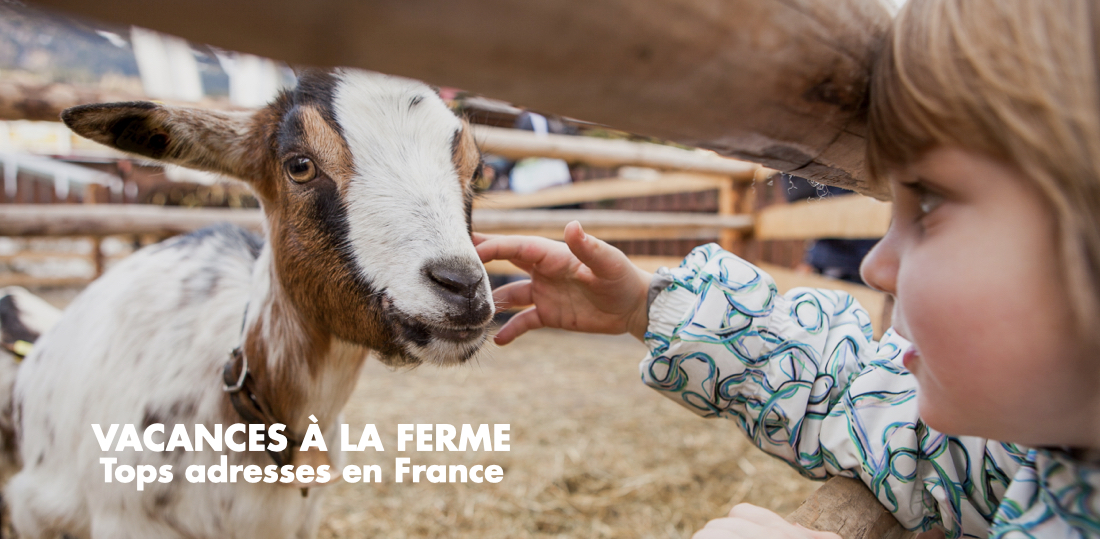 Vacances à la ferme