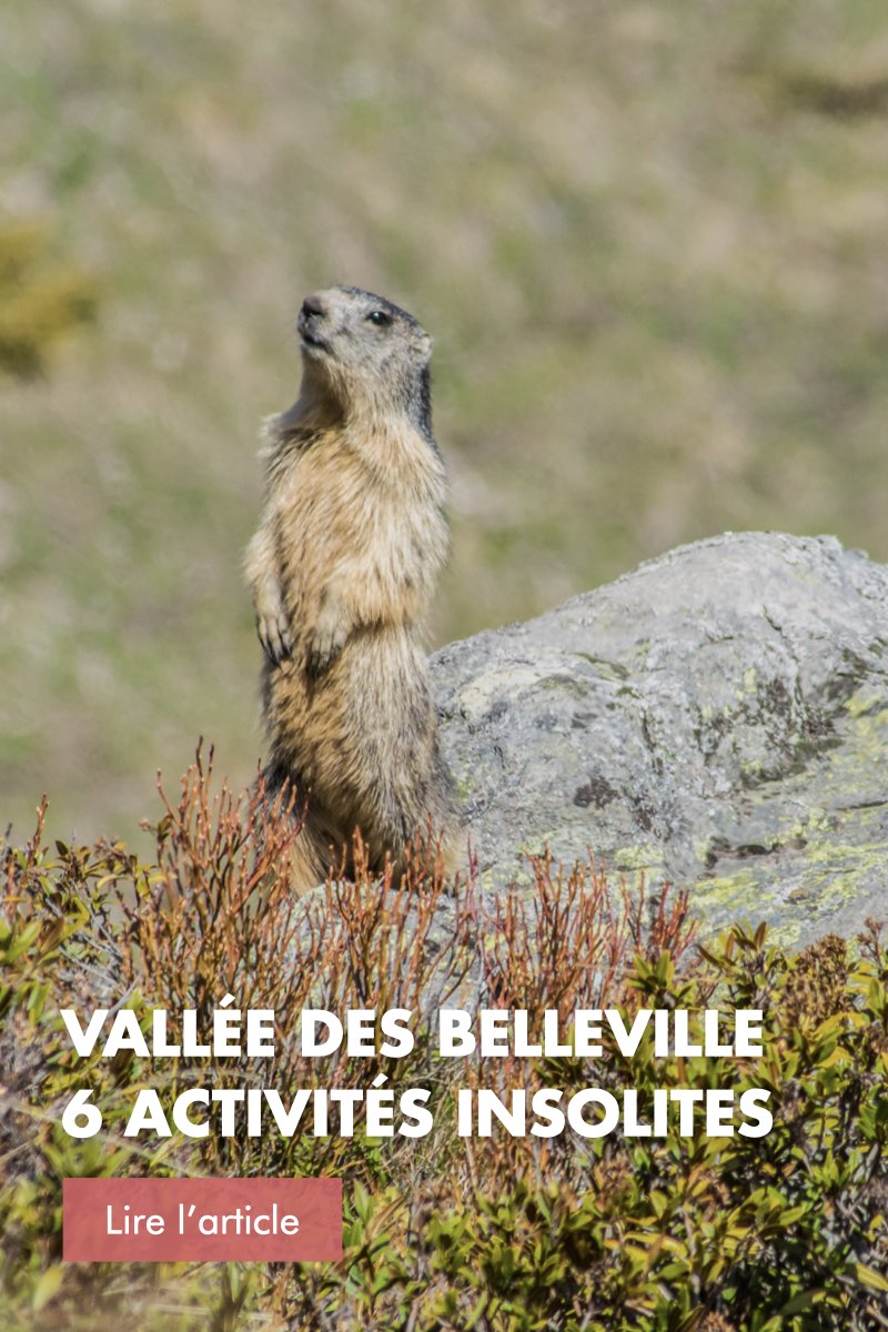 La Vallée des Belleville en famille