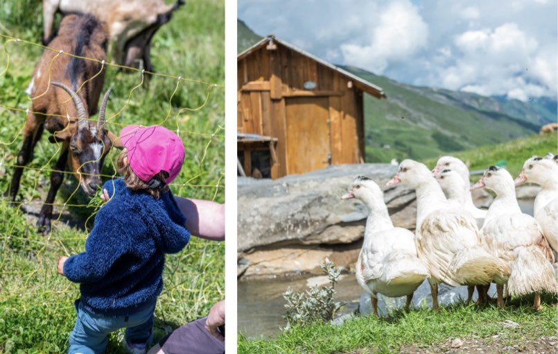 La Vallée des Belleville en famille