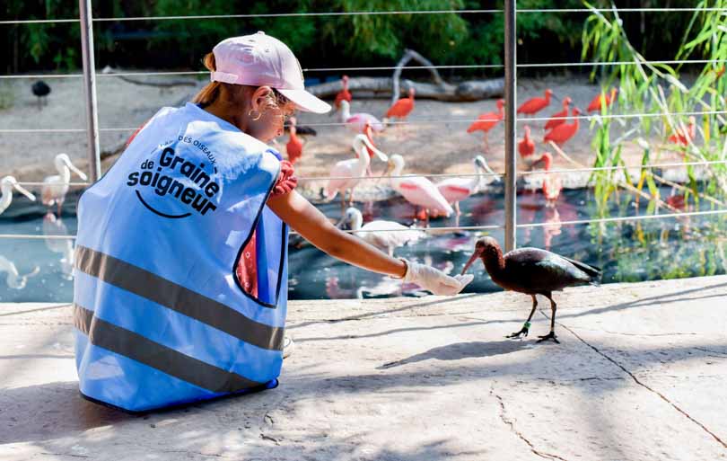 Parc des Oiseaux