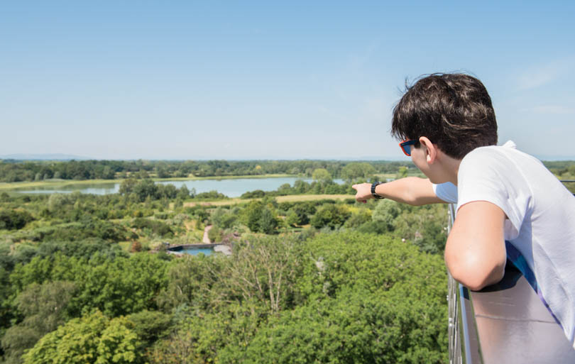 Parc des Oiseaux